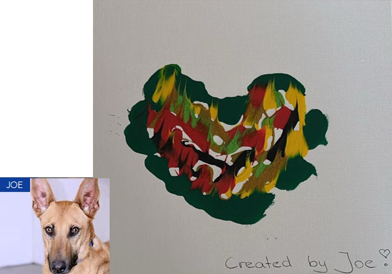 Painting Artist - Joe