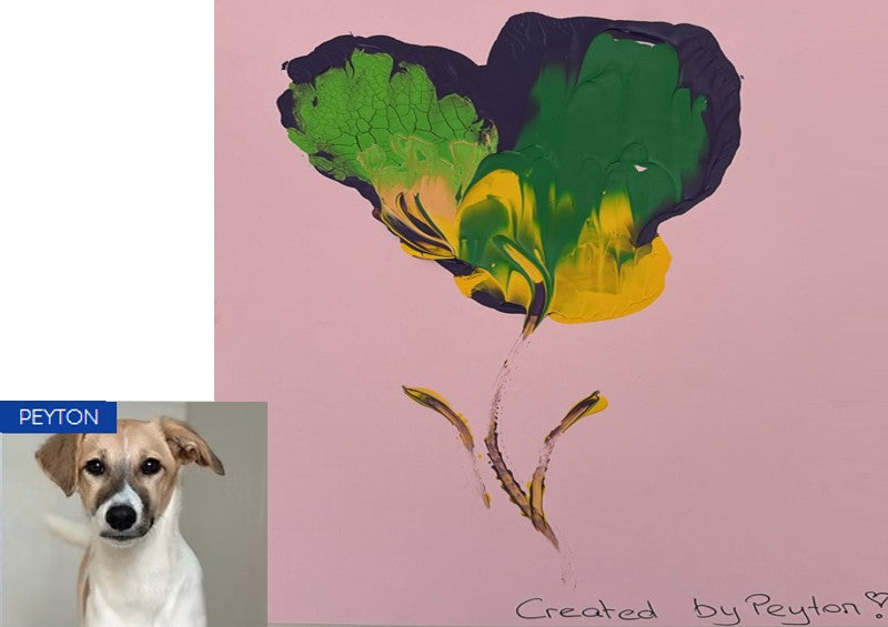 Painting Artist - Peyton